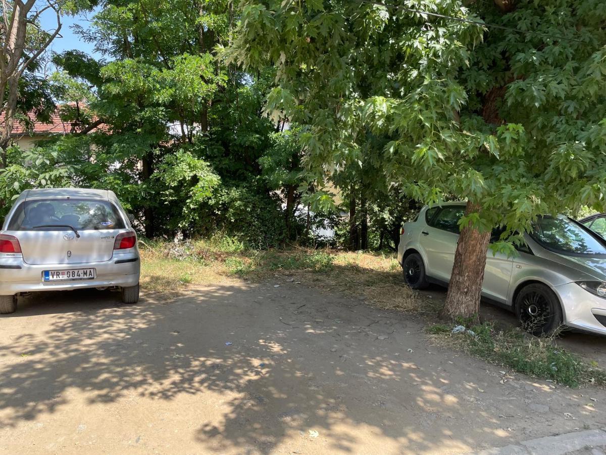 Bora Apartmani - Free Parking - City Center Vranje Bagian luar foto